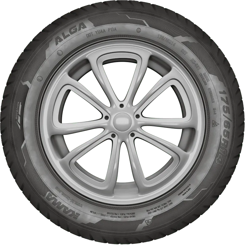 KAMA ALGA (НК-531) нешип в Звереве — KAMA TYRES KAMA ALGA (НК-531) нешип в Звереве